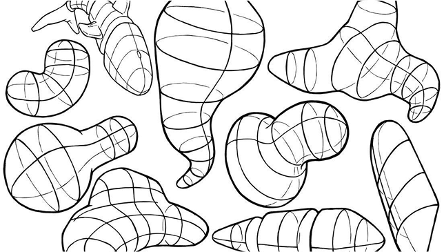 program procreate-pro undefined