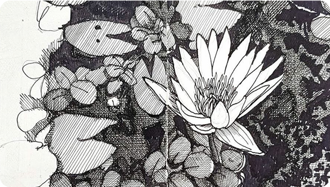 program procreate-pro undefined